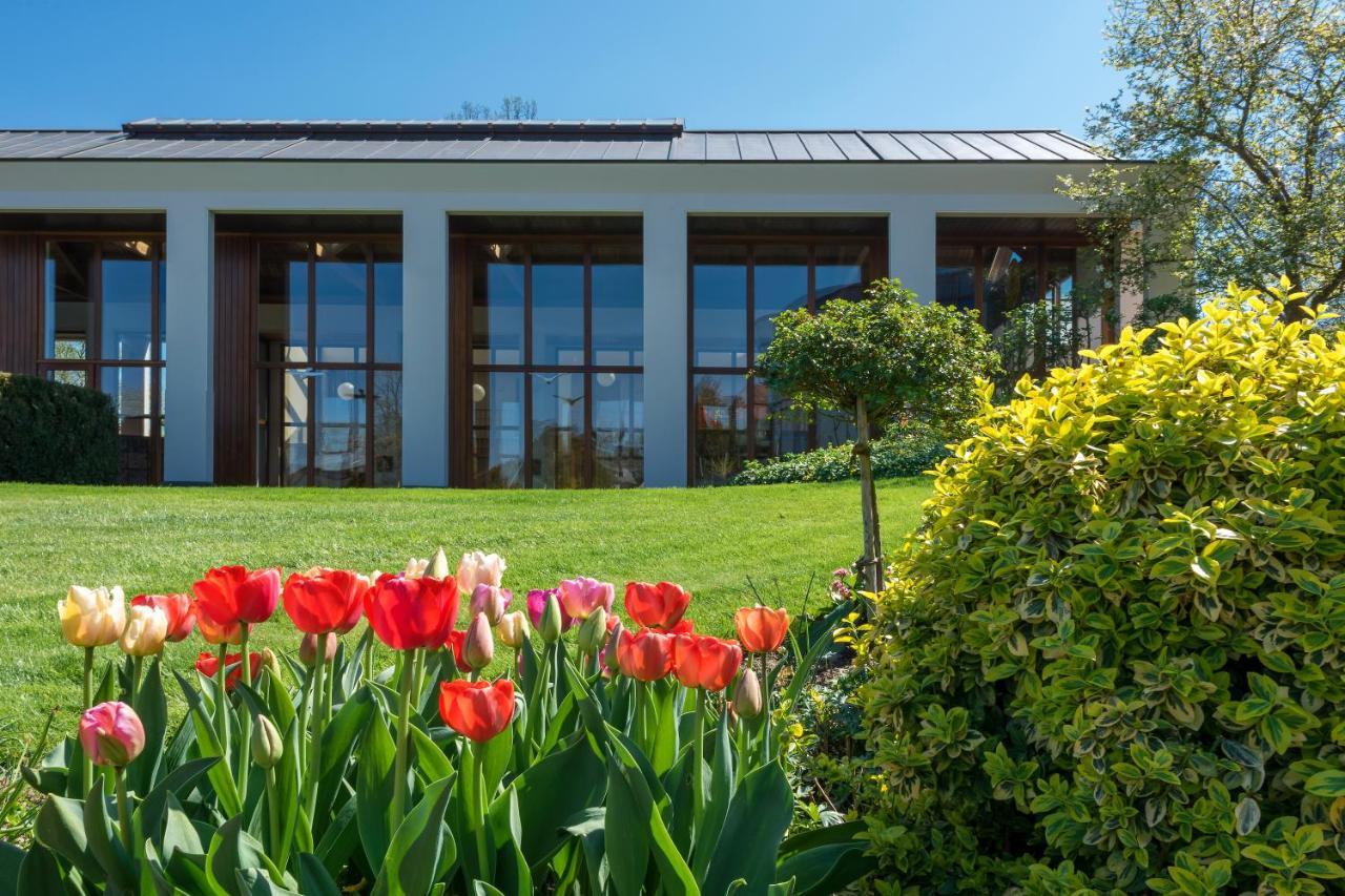 Отель Lilienberg Ermatingen Экстерьер фото